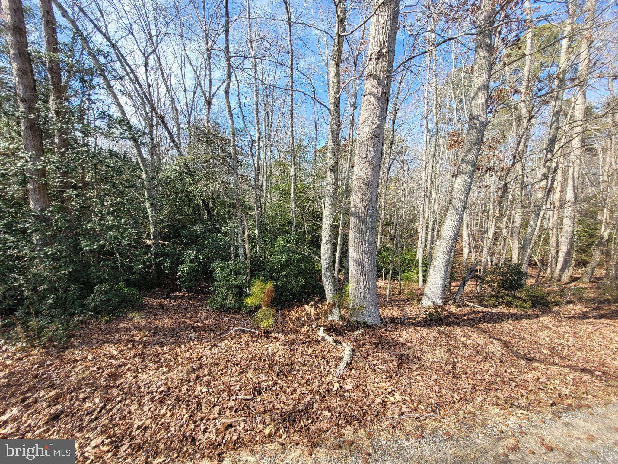 Heathsville, VA 22473,00A BOGEY NECK RD
