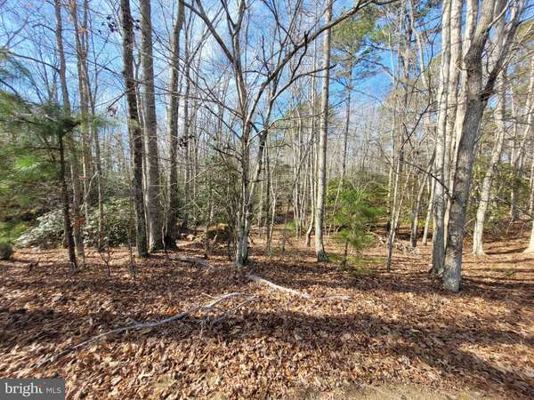 Heathsville, VA 22473,00A BOGEY NECK RD