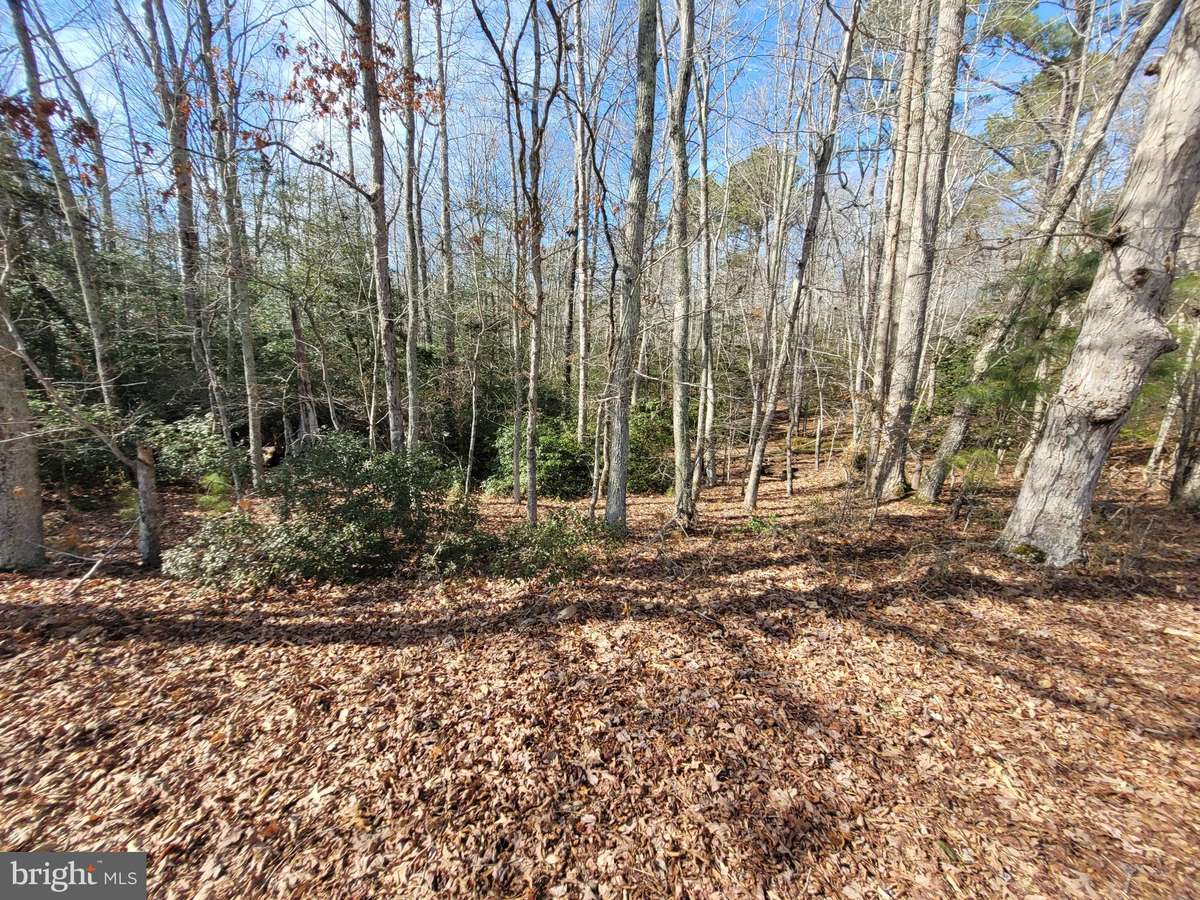 Heathsville, VA 22473,00A BOGEY NECK RD