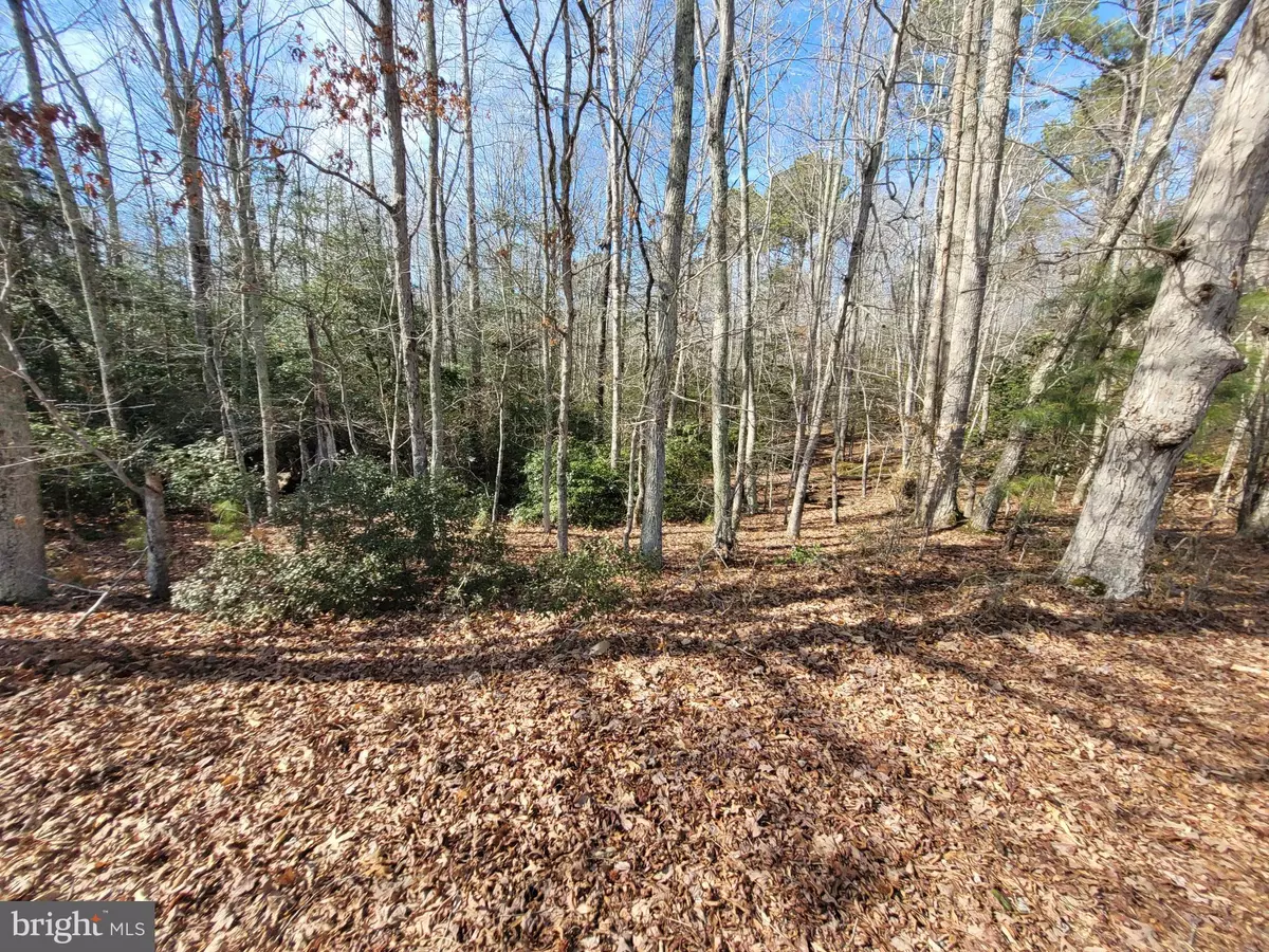 Heathsville, VA 22473,00A BOGEY NECK RD