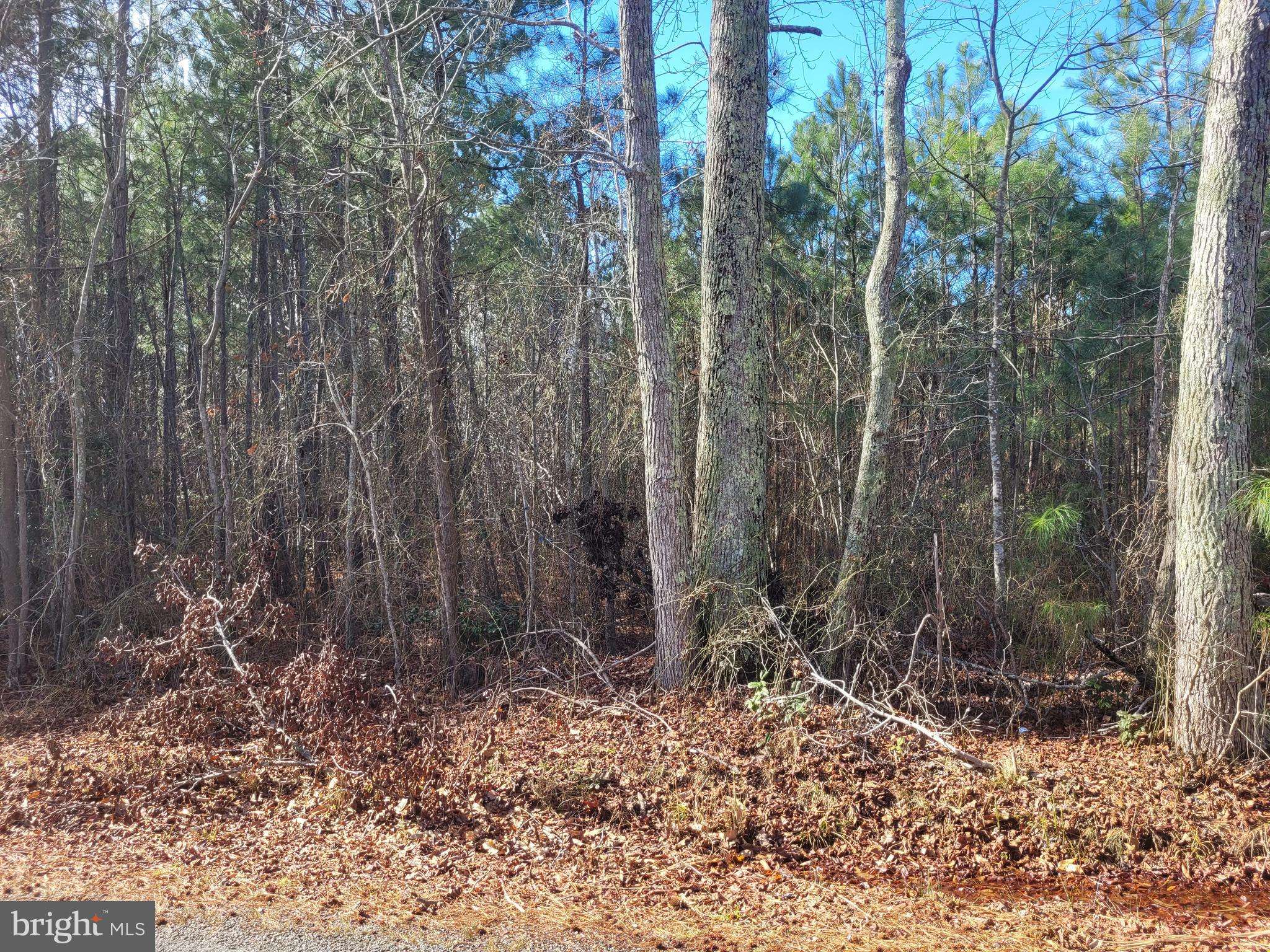 Heathsville, VA 22473,00E BOGEY NECK RD