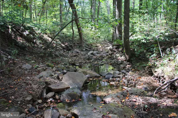 FOREST LN, Gore, VA 22637