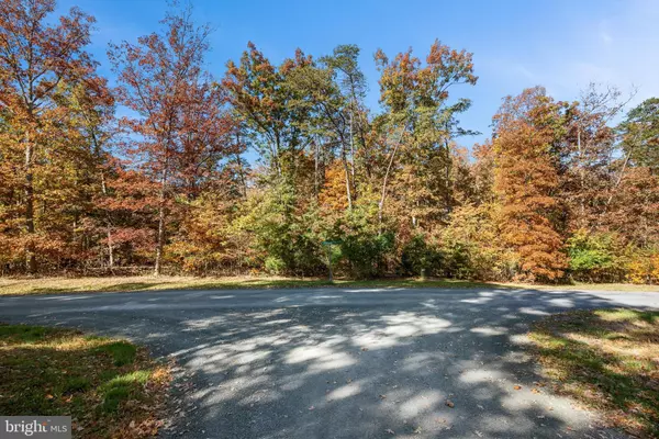 Stephens City, VA 22655,SPRINGWOOD LN #LOT 20