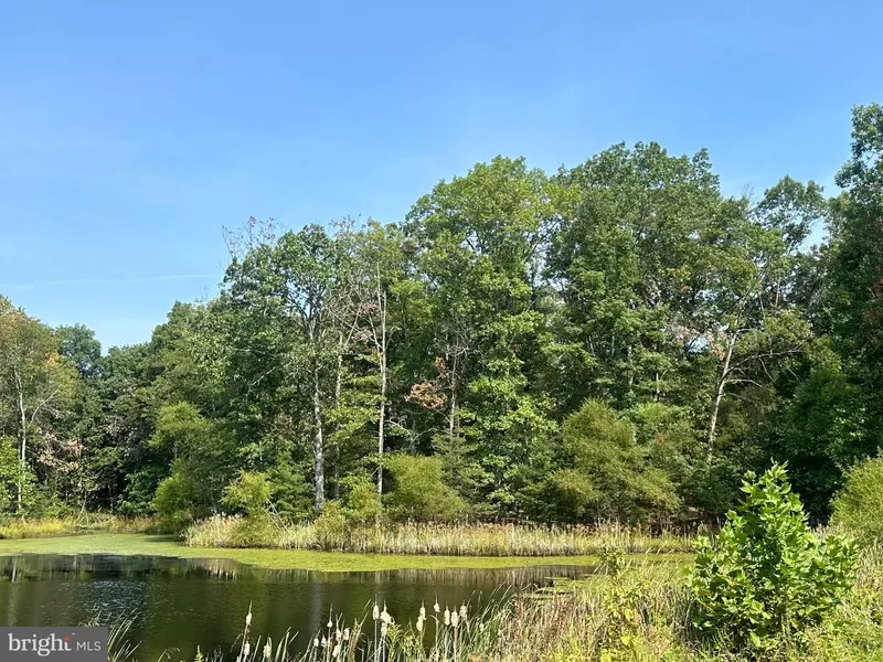 SPRINGWOOD LN #LOT 20, Stephens City, VA 22655