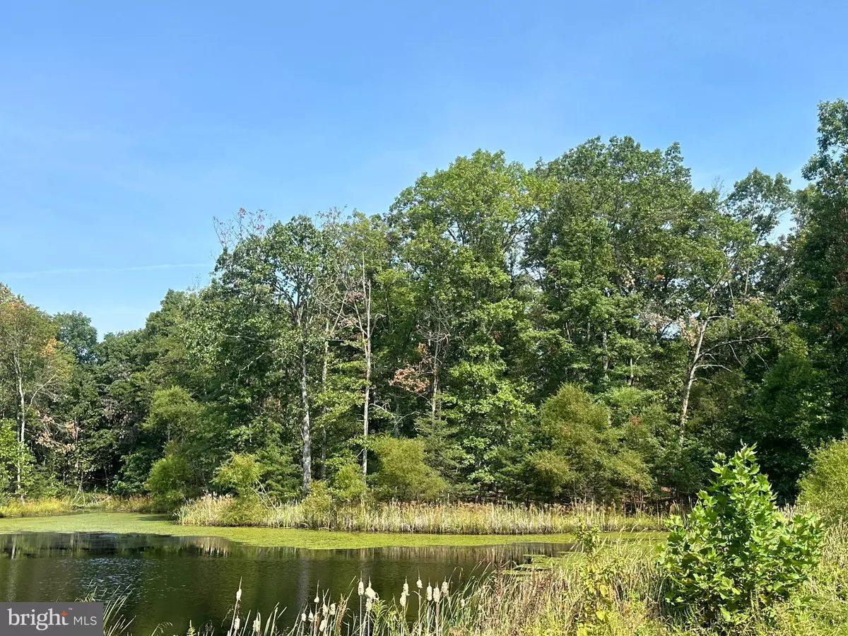 Stephens City, VA 22655,SPRINGWOOD LN #LOT 20