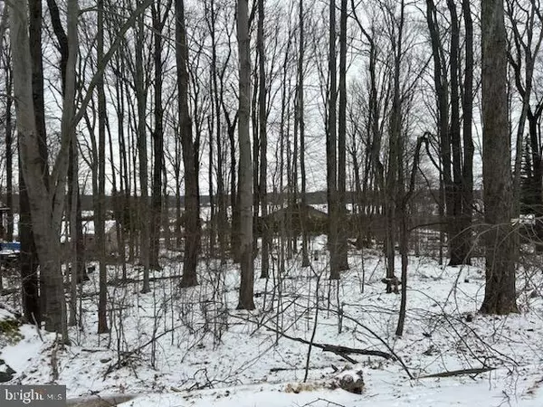 Pocono Lake, PA 18347,11 MOHICAN TRL