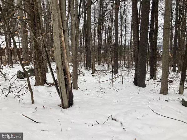 Pocono Lake, PA 18347,11 MOHICAN TRL