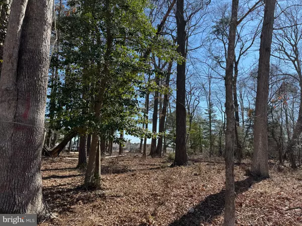 Greenbackville, VA 23356,LOT 125 MAIN SAIL CT