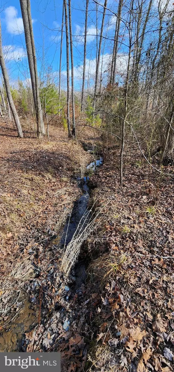 Louisa, VA 23093,0 VAWTER CORNER