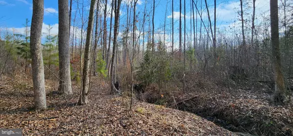 Louisa, VA 23093,0 VAWTER CORNER