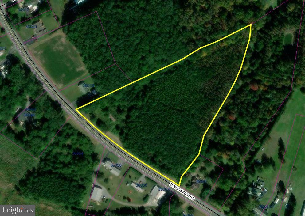 Selbyville, DE 19975,6.95 ACRE PARCEL @ ZION CHURCH ROAD