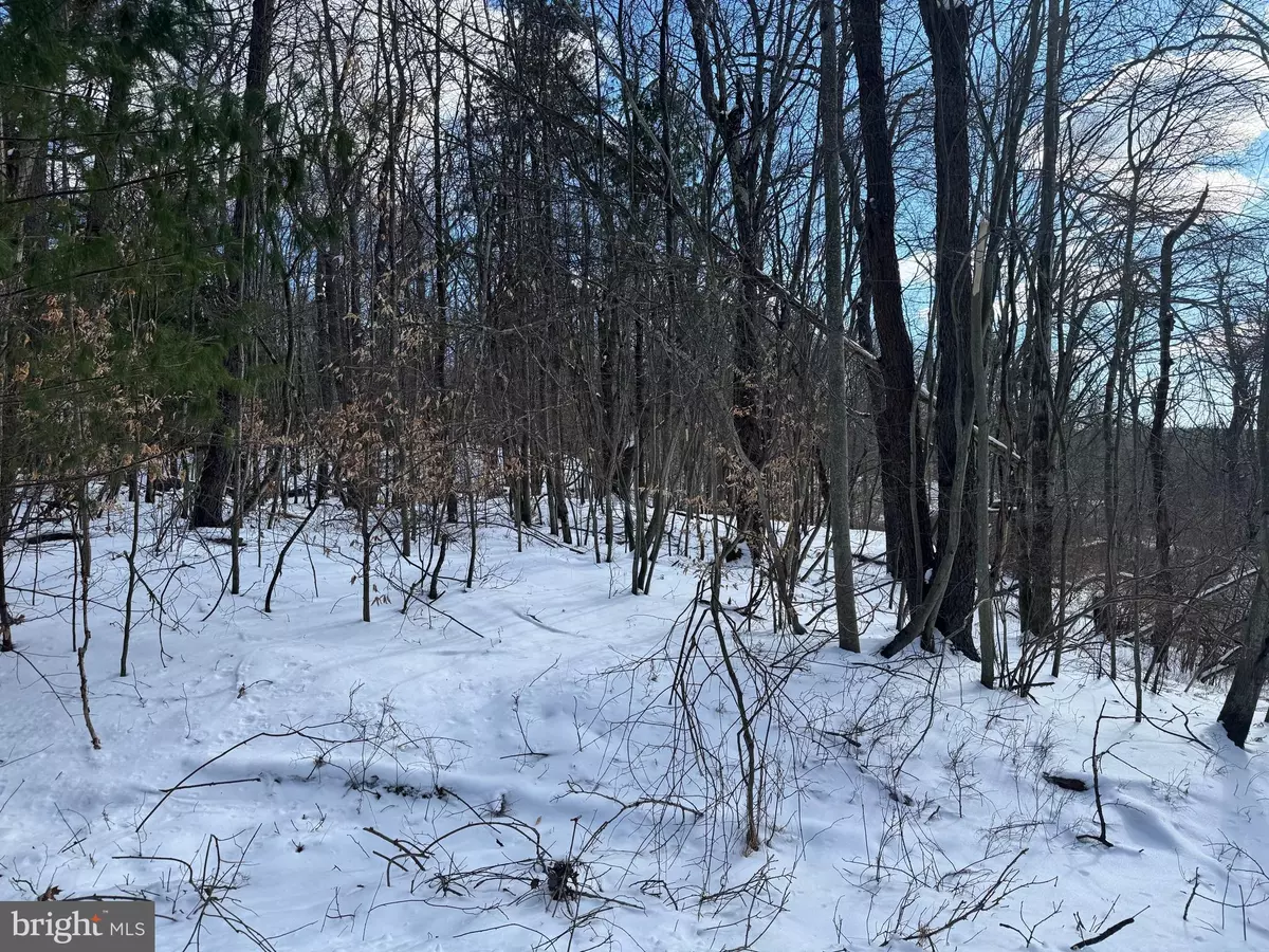 Pocono Lake, PA 18347,0 RIVER CT