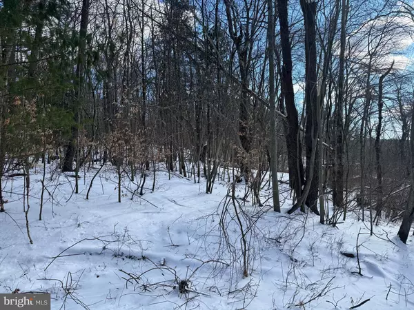 Pocono Lake, PA 18347,0 RIVER CT