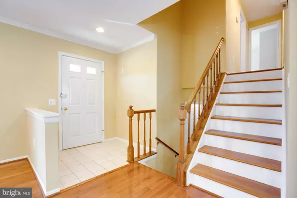 Laurel, MD 20708,11905 BASSWOOD DR