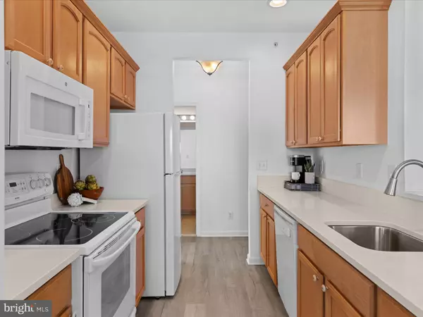 17071 S BRANDT ST #5207 Lewes, DE 19958