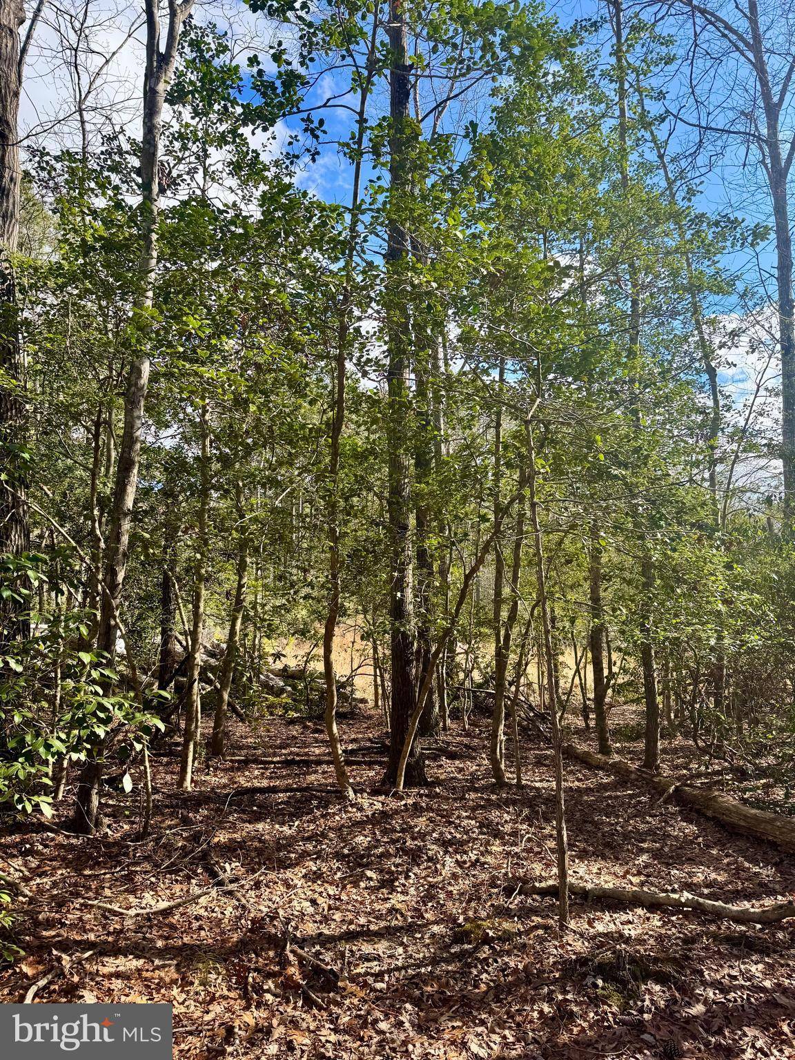 Valley Lee, MD 20692,LOT 28- 19285 VANDERHOOF LN