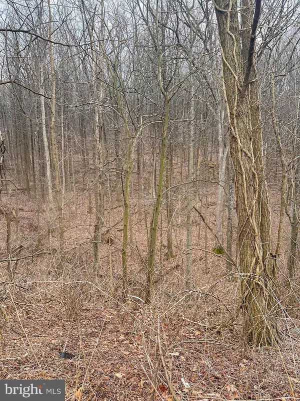 Dover, PA 17315,LOT CARLISLE RD
