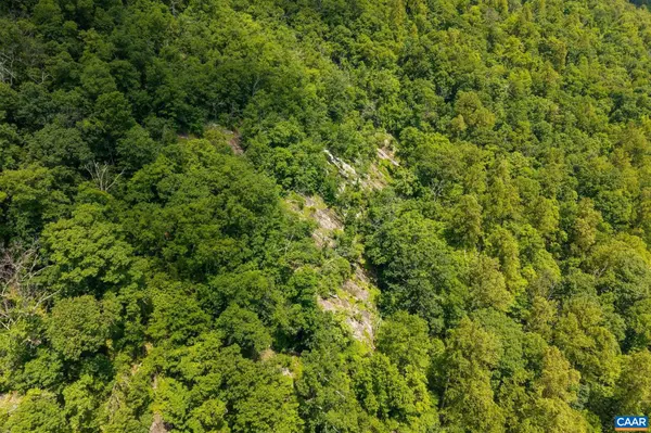 Crozet, VA 22932,0 SADDLE HOLLOW RD