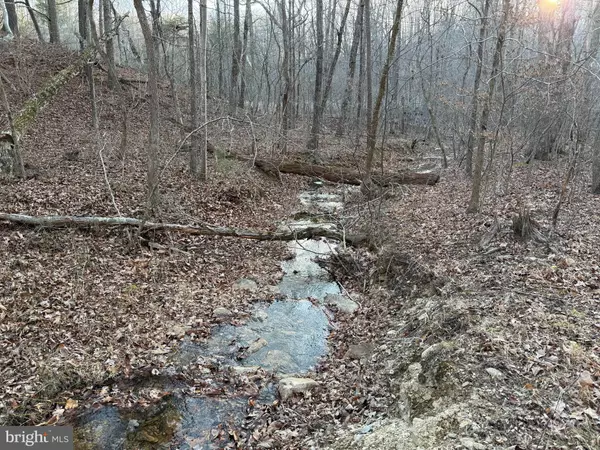 Front Royal, VA 22630,LOT 90A,91A,129,130,131 VESEY DR