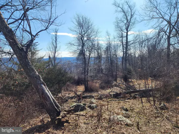 Yellow Spring, WV 26865,LOT 111 RIVER RIDGE