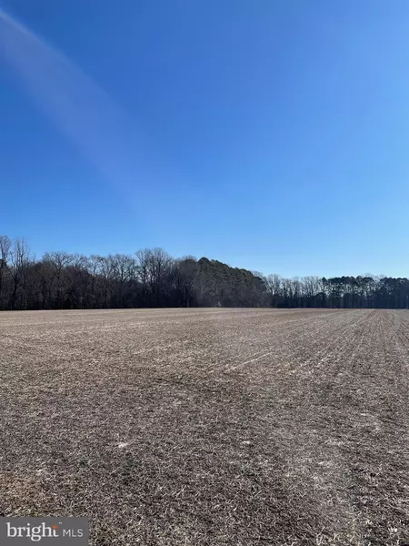 LOT 1 BEAVER DAM RD, Trappe, MD 21673