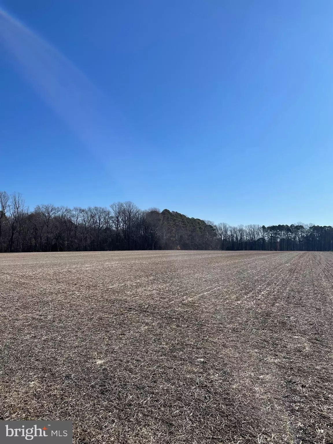 Trappe, MD 21673,LOT 1 BEAVER DAM RD