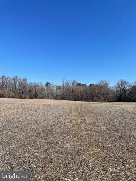 LOT 2 BEAVER DAM RD, Trappe, MD 21673