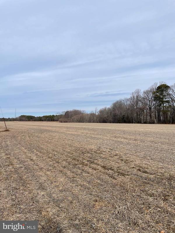 Trappe, MD 21673,LOT 3 BEAVER DAM RD