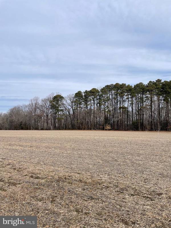 Trappe, MD 21673,LOT 3 BEAVER DAM RD