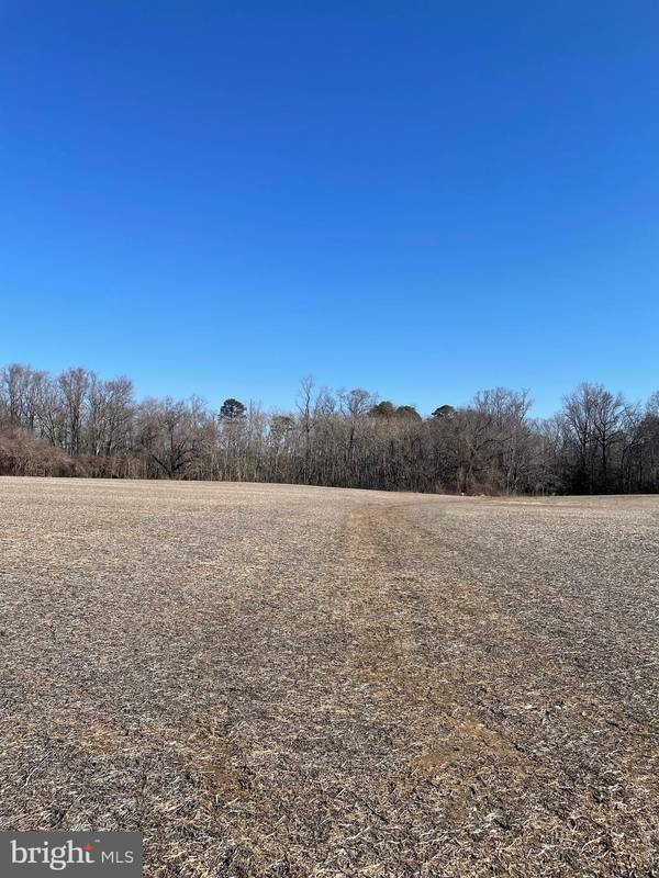 Trappe, MD 21673,LOT 3 BEAVER DAM RD