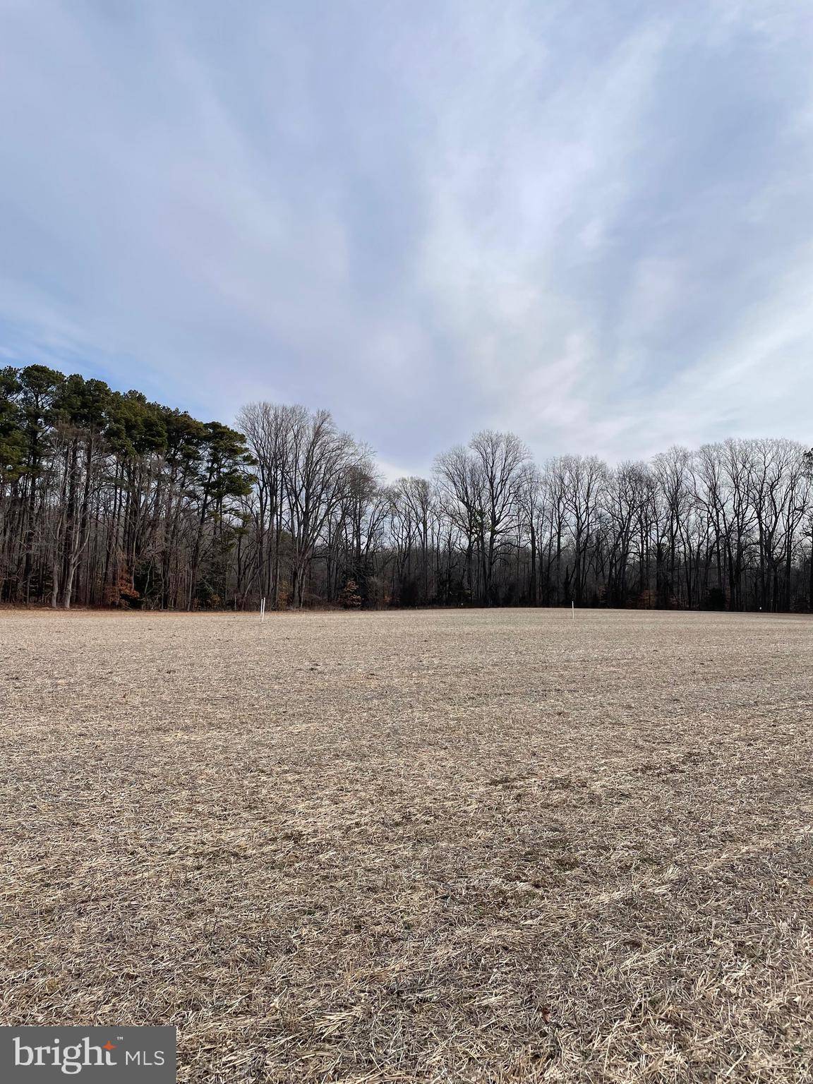 Trappe, MD 21673,LOT 3 BEAVER DAM RD