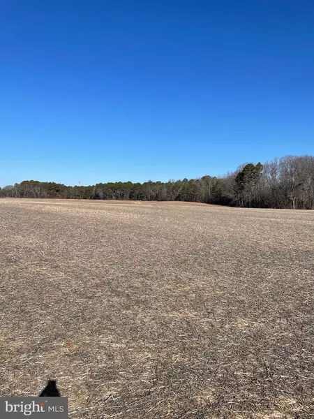 LOT 4 BEAVER DAM RD, Trappe, MD 21673