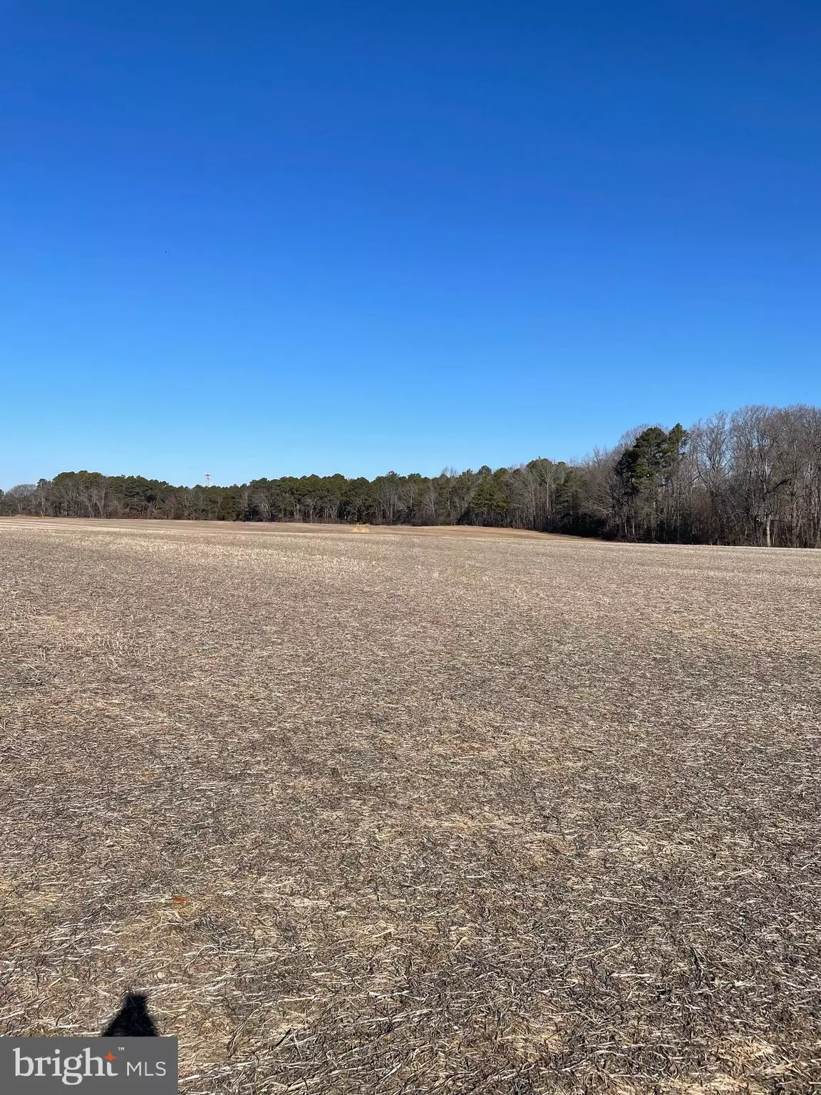 Trappe, MD 21673,LOT 4 BEAVER DAM RD