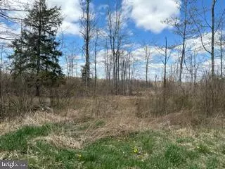 Mount Storm, WV 26739,CHERRY RIDGE ROAD