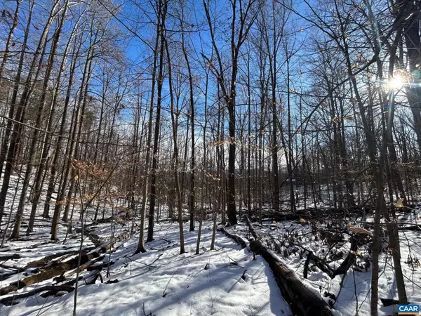 0 STONE CHIMNEYS RD #1, Wintergreen, VA 22958