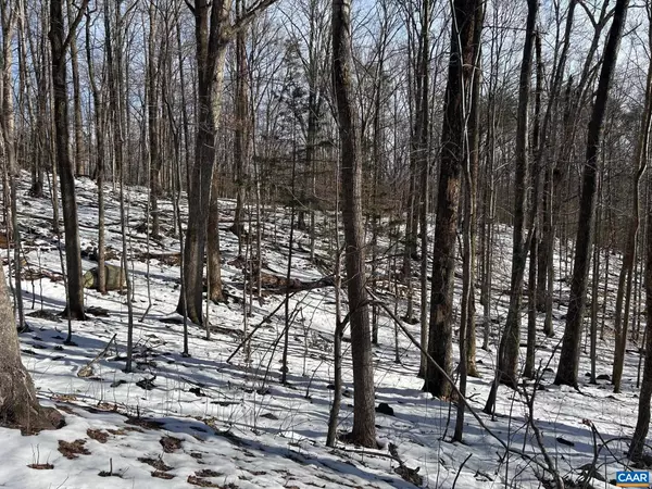 Wintergreen, VA 22958,0 STONE CHIMNEYS RD #1
