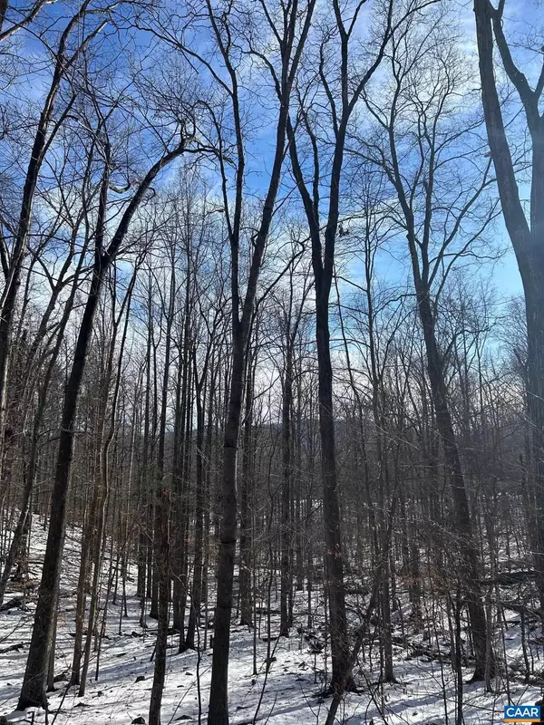 Wintergreen, VA 22958,0 STONE CHIMNEYS RD #1