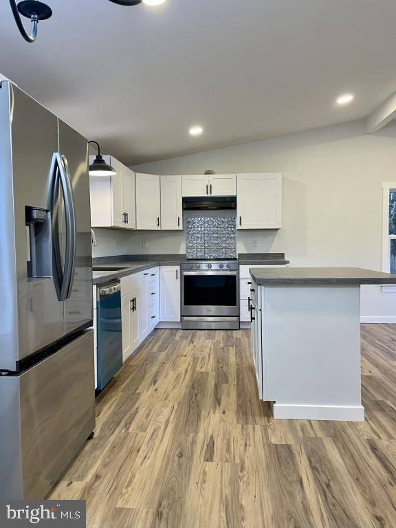 Milton, DE 19968,206 N LAKE DR