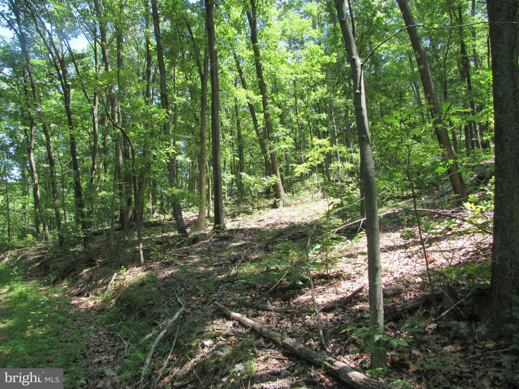 James Creek, PA 16657,0 PENNY LANE