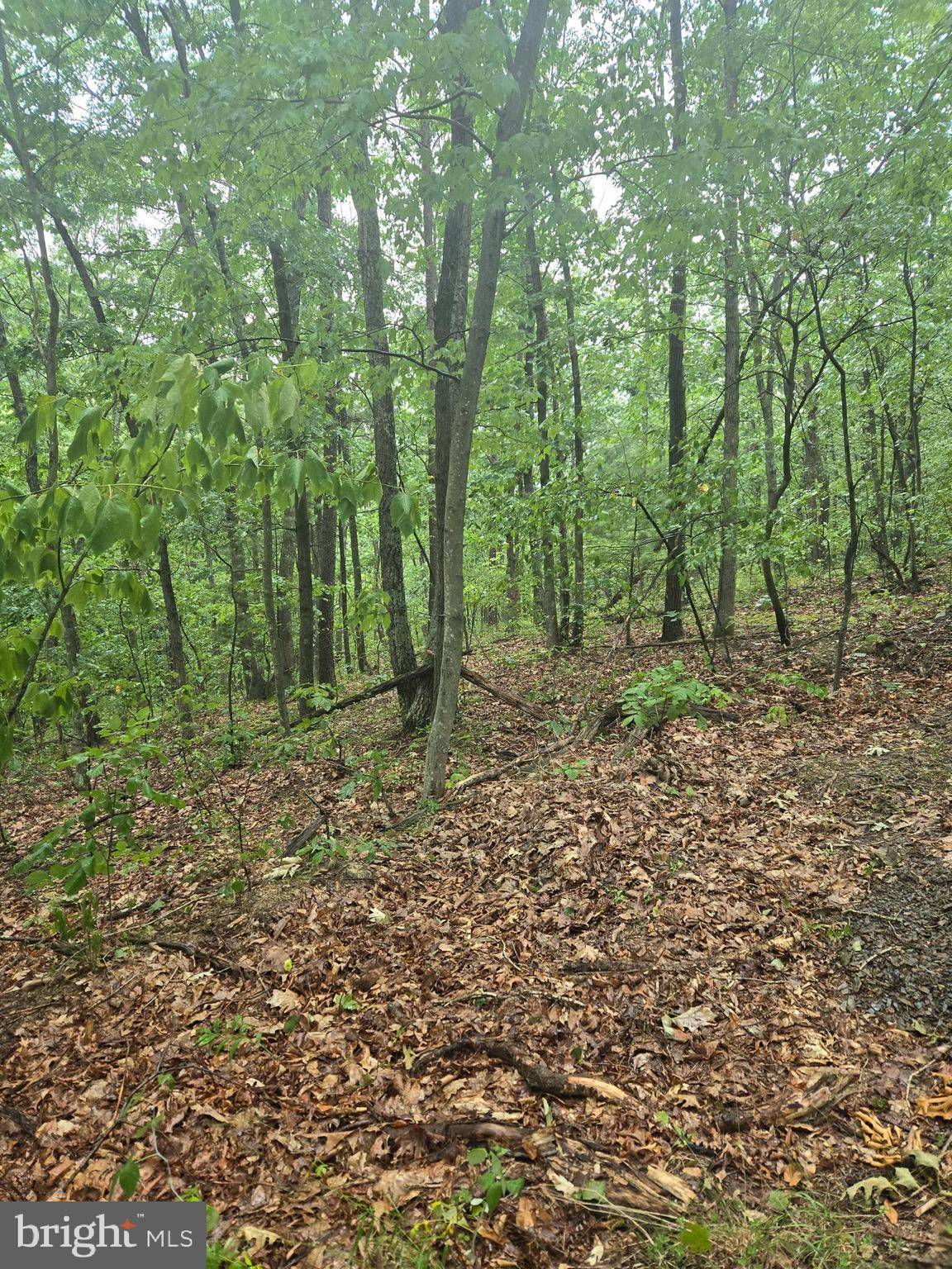 James Creek, PA 16657,0 PENNY LANE