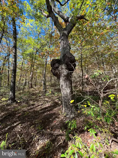 LOT 10, 11, 12-13 A-602 FOX TRL, Winchester, VA 22602