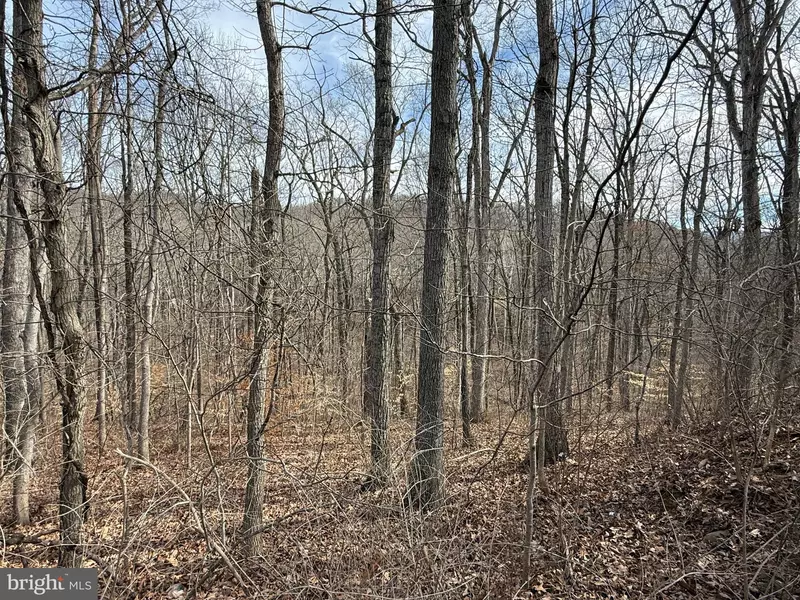 LOT 236, 238, 239, 240 HOWELLSVILLE RD, Front Royal, VA 22630