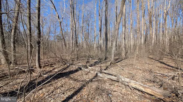 Madison, VA 22727,N BLUE RIDGE TPKE