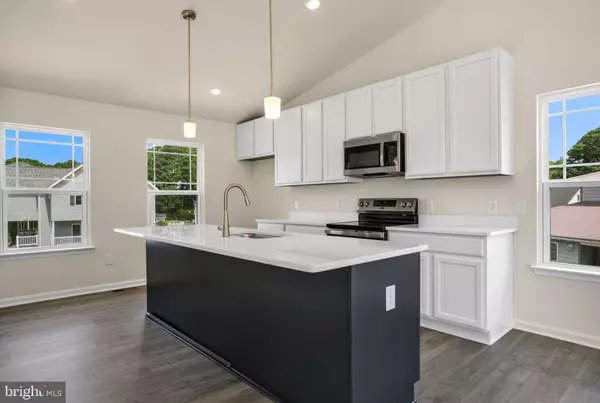 Greenbackville, VA 23356,3221 SALTY WAY