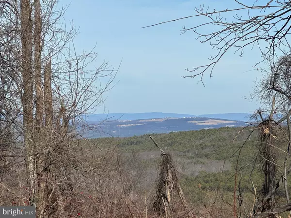 Yellow Spring, WV 26865,84 PEAKS VIEW DR