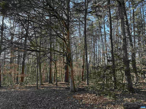 Charlottesville, VA 22911,0 SULPHUR MINE RD