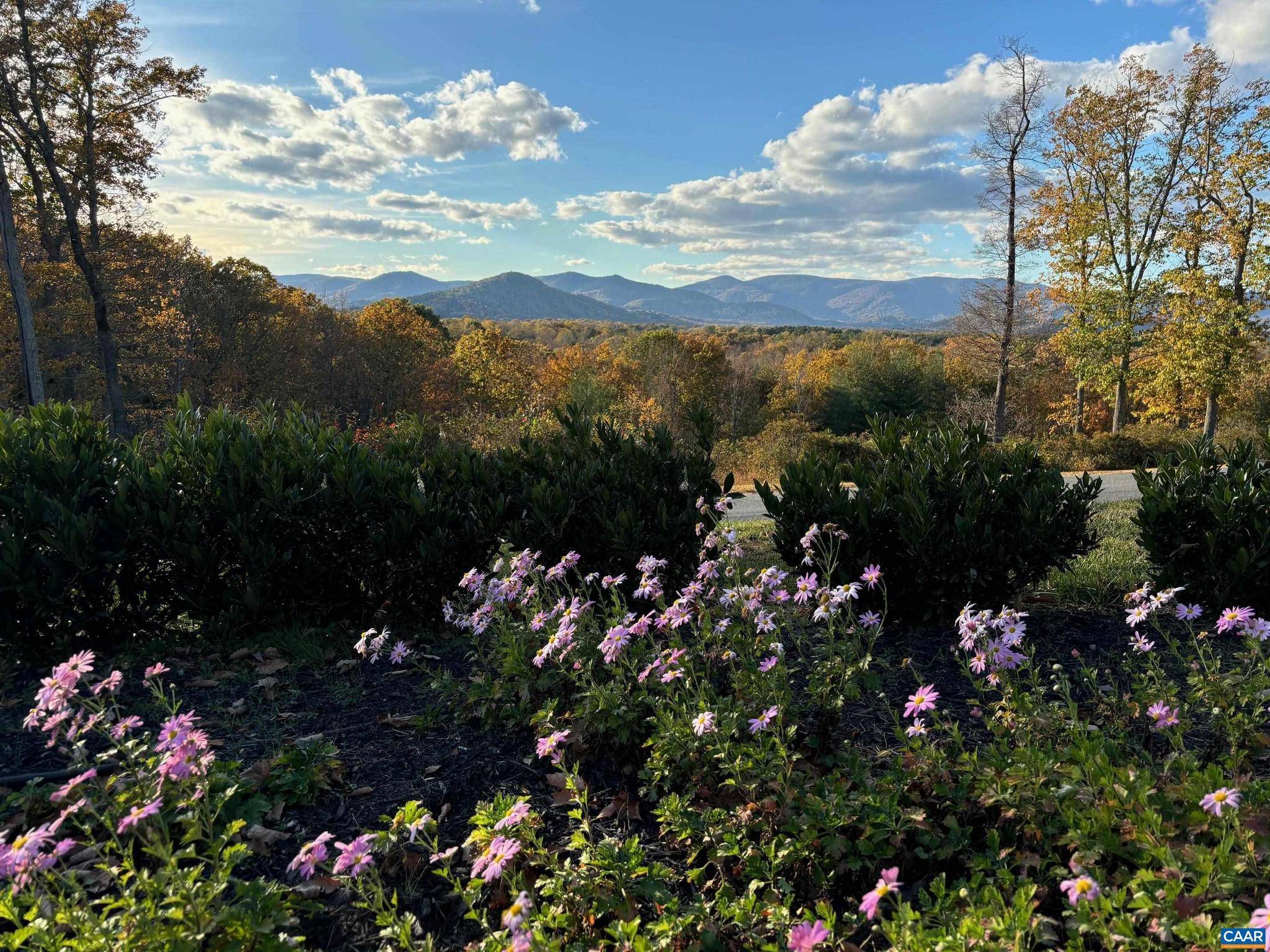 341 CLAYMONT DR, Earlysville, VA 22936
