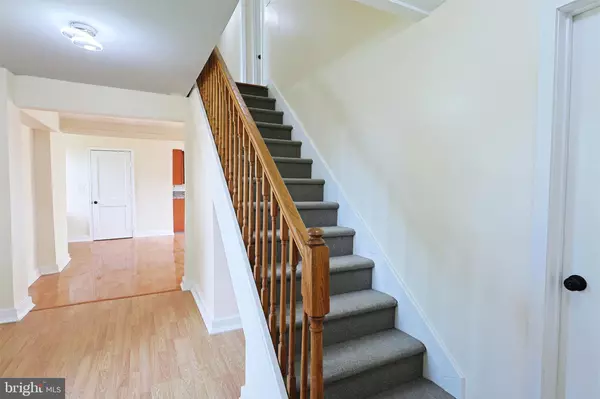 Lavale, MD 21502,531 B ST