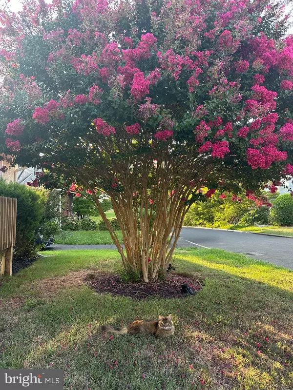 Willow Grove, PA 19090,2618 PHIPPS AVE