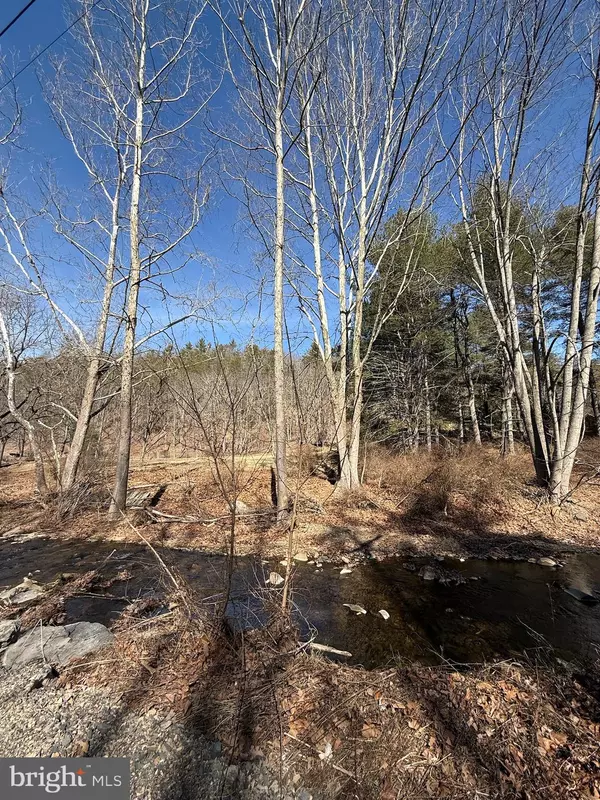 Yellow Spring, WV 26865,2 AC CAPON SPRINGS RD